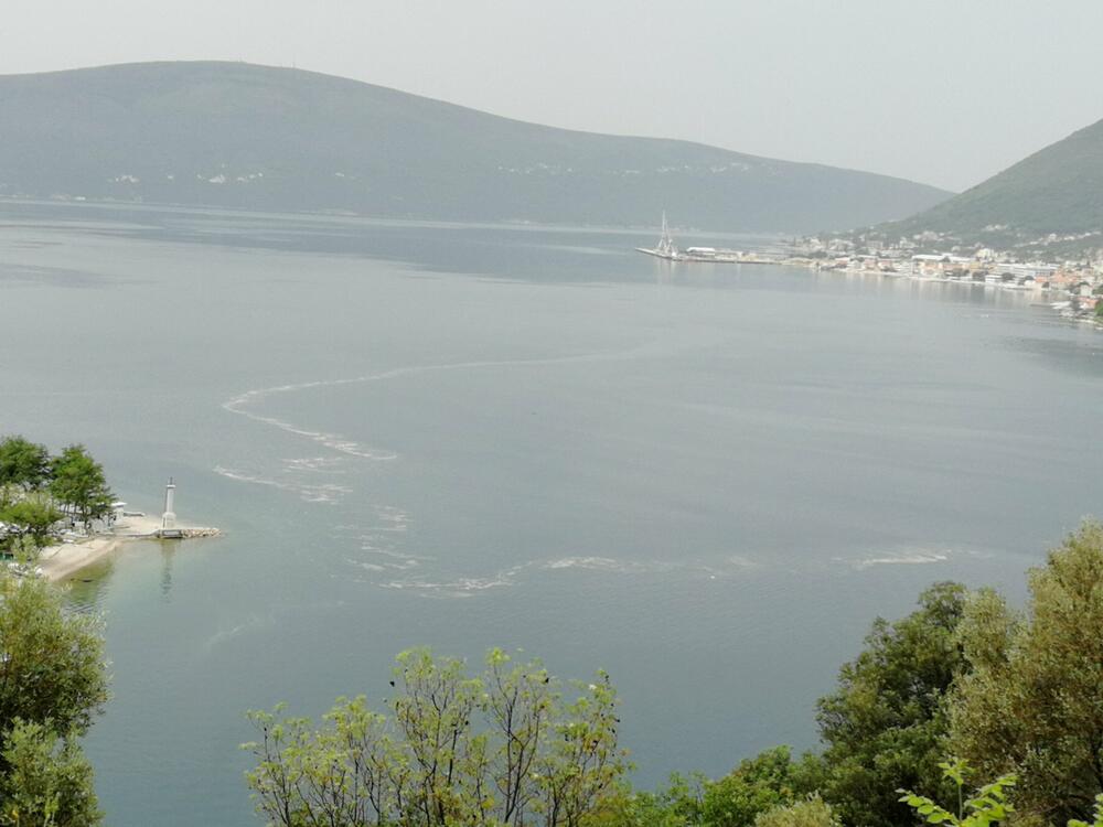 Mrlja u Boki Kotorskoj