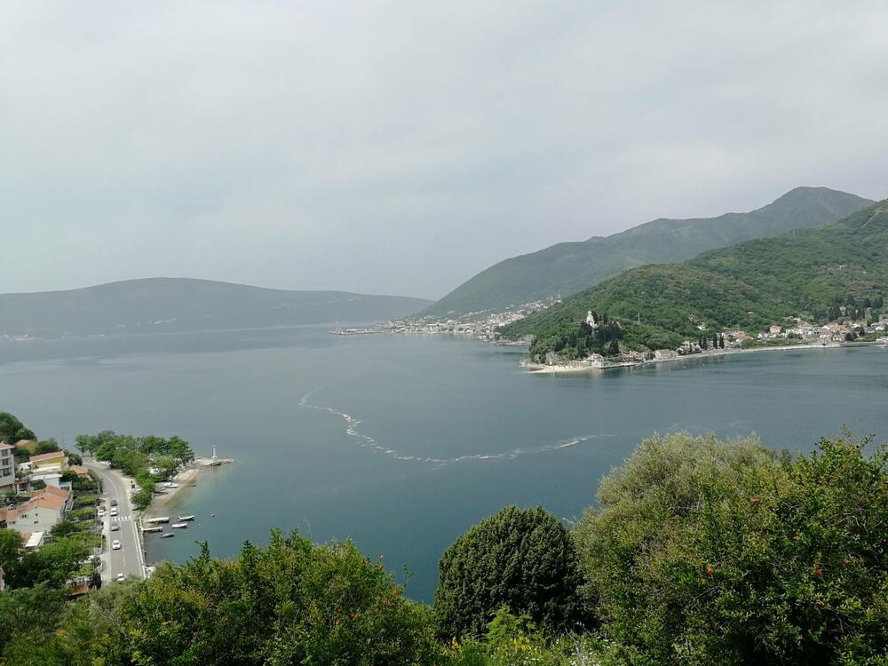 Mrlja u Boki Kotorskoj