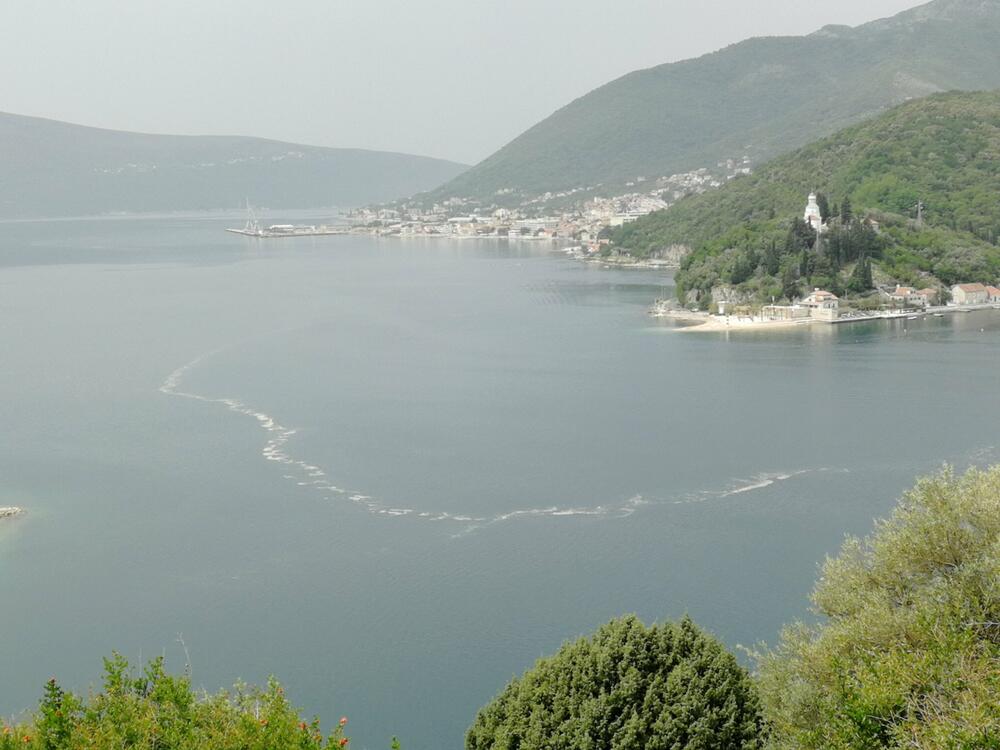 Mrlja u Boki Kotorskoj