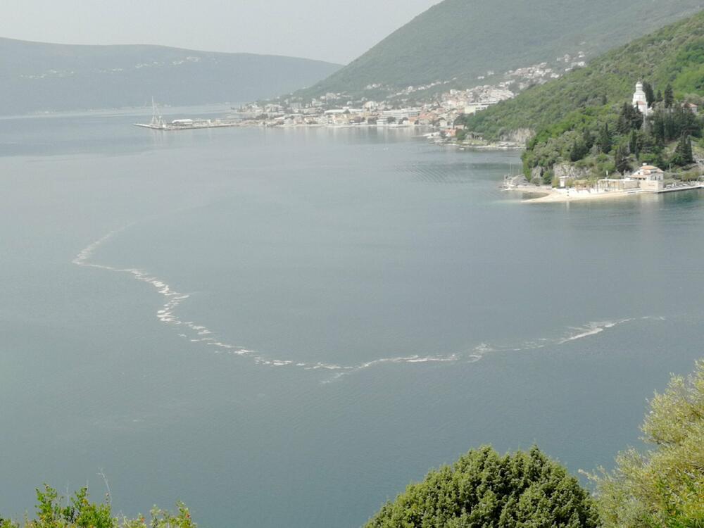 Mrlja u Boki Kotorskoj