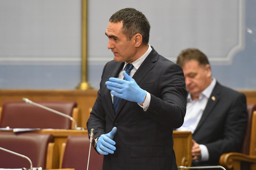 Stižu i amandmani na predlog zakona: Iz parlamenta, Foto: Savo Prelević