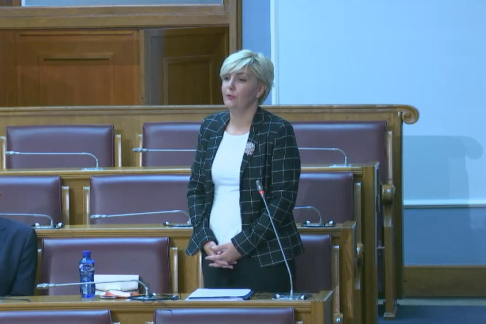 Sekulić danas u parlamentu, Foto: Printscreen YouTube