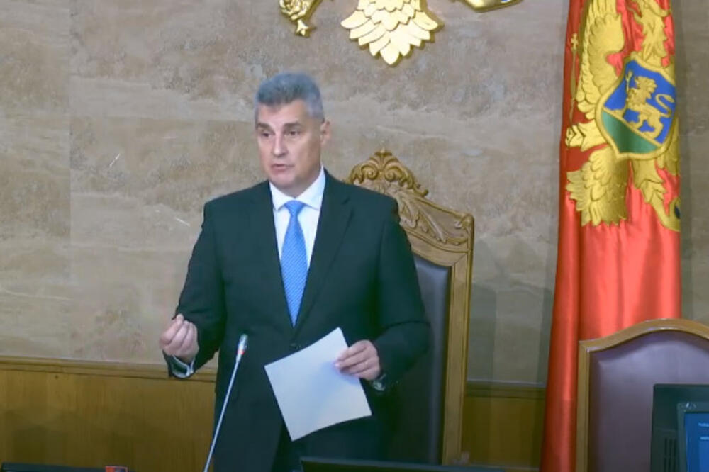 Brajović u parlamentu, Foto: Printscreen YouTube