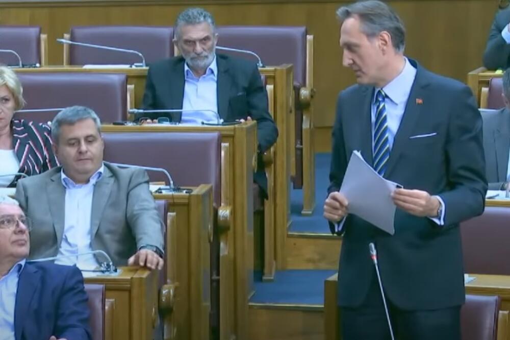 Danas u Skupštini, Foto: Screenshot