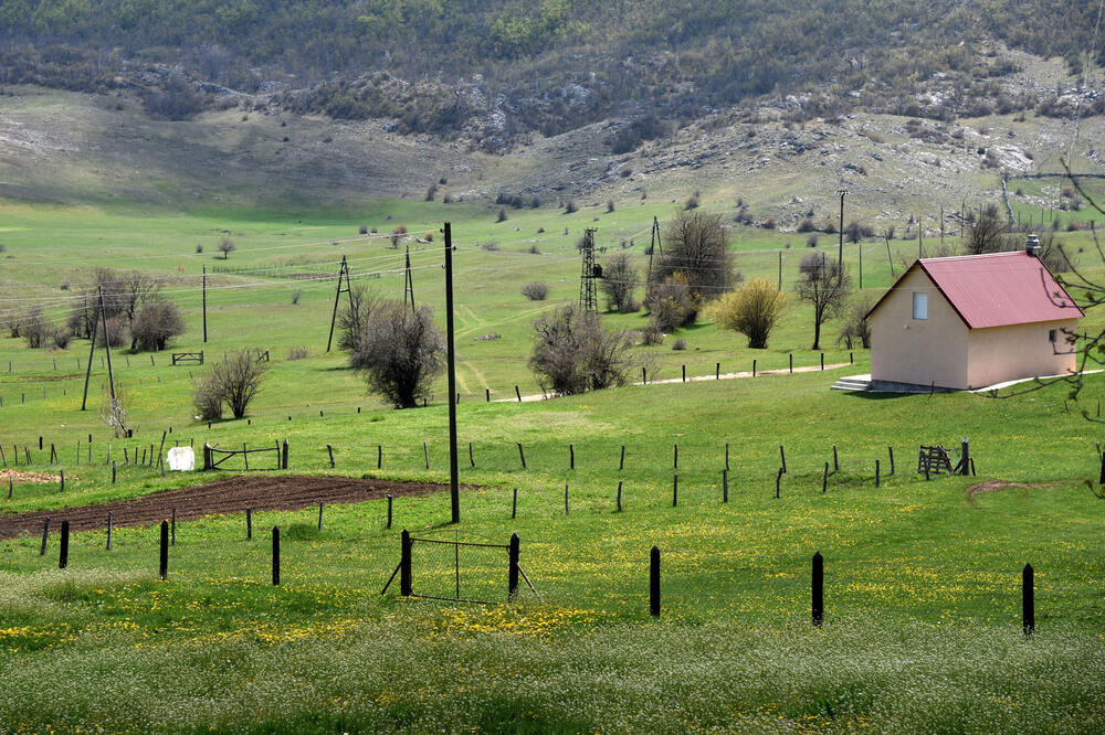 Ubla, Foto: Luka Zeković