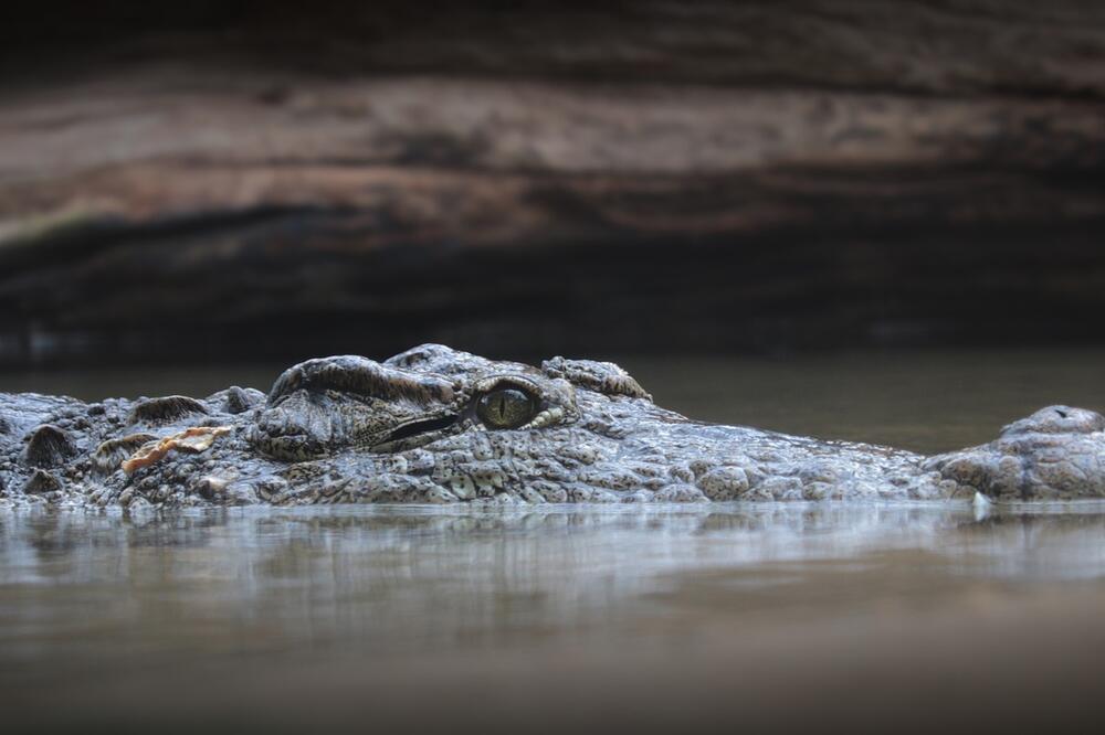 Ilustracija, Foto: Pixabay.com