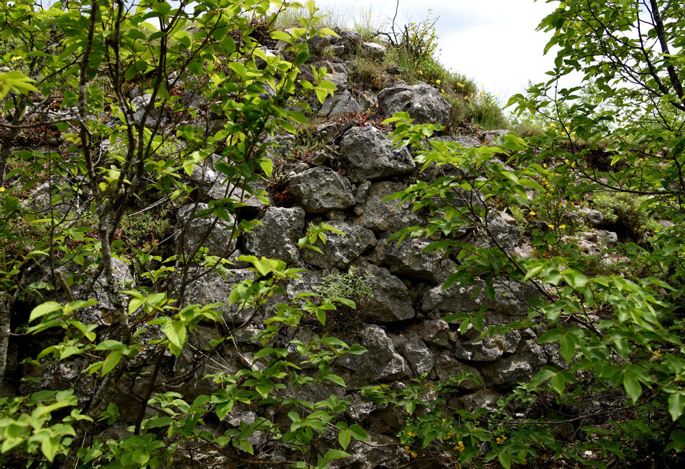 Detalj iz Soko grada