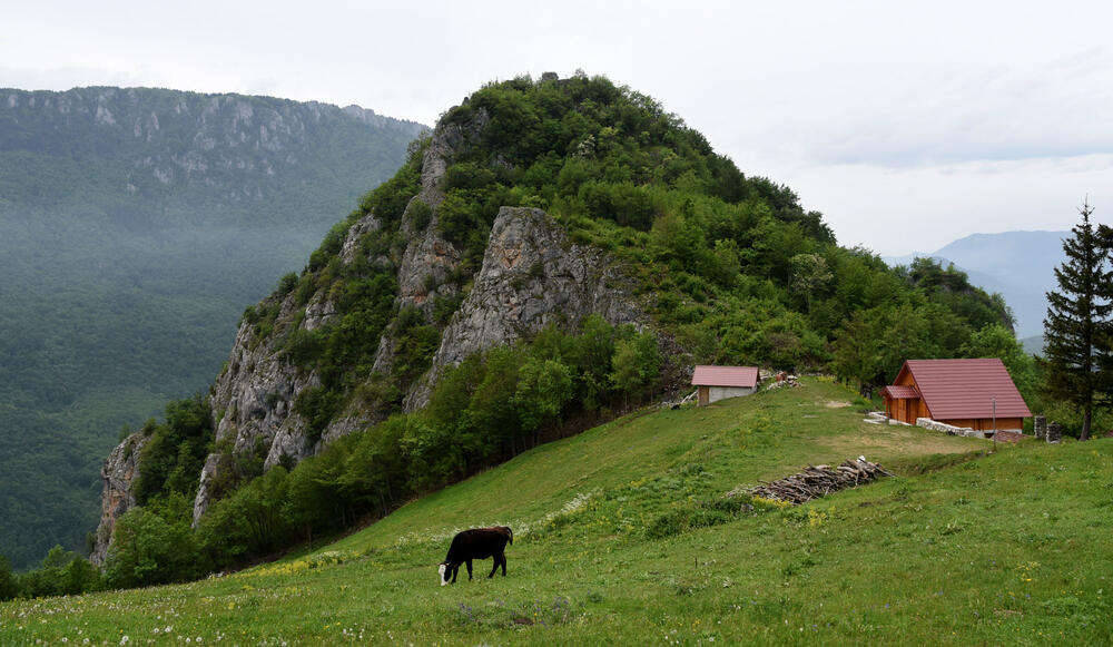 Detalj iz Soko grada
