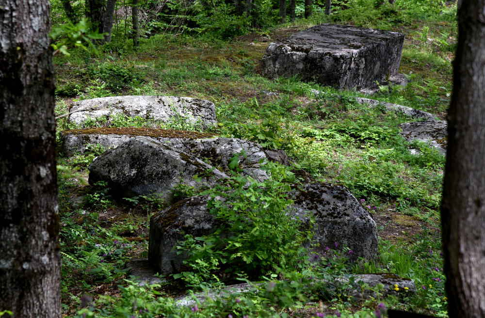 Detalj iz Soko grada