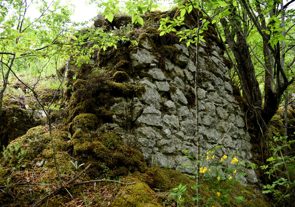 Detalj iz Soko grada