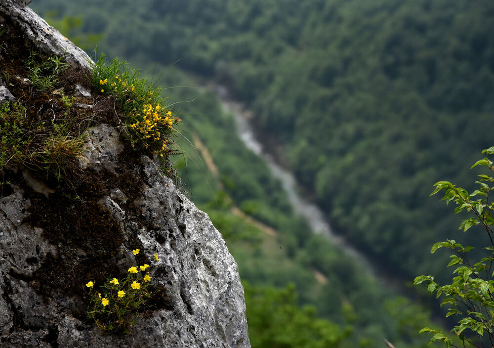 Detalj iz Soko grada