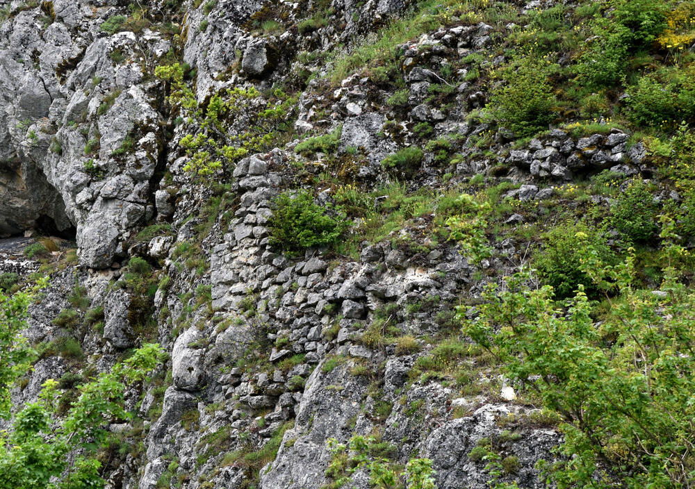 Detalj iz Soko grada