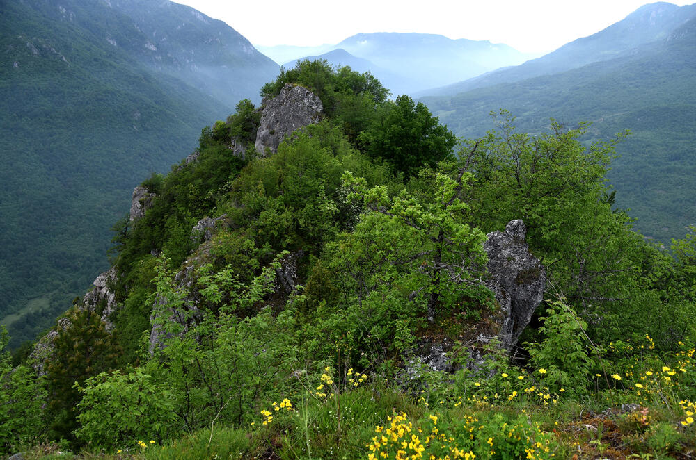 Detalj iz Soko grada