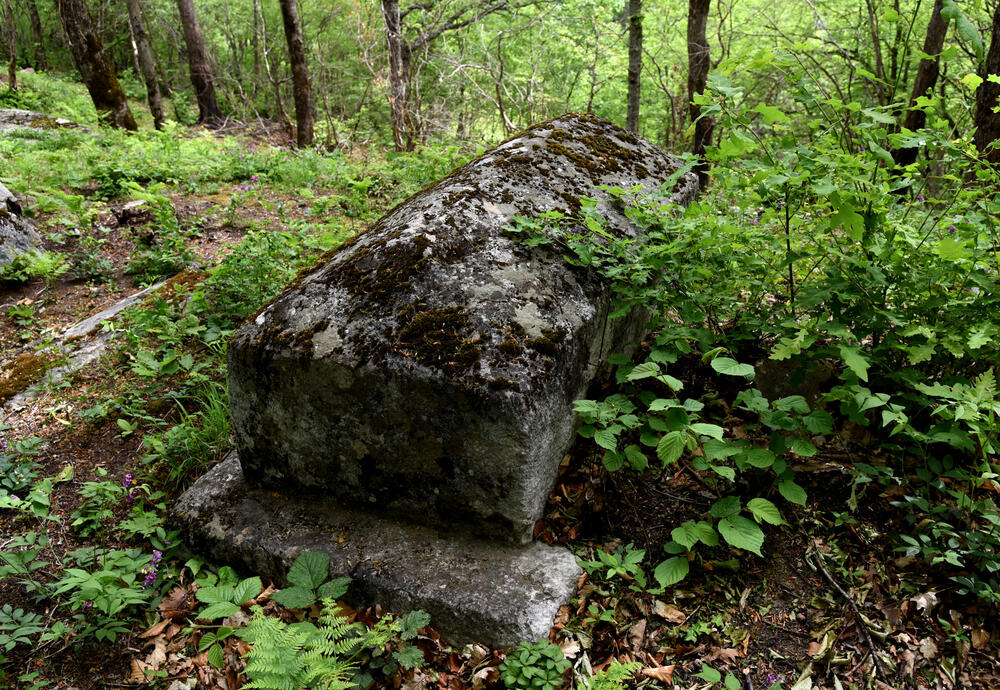 Detalj iz Soko grada