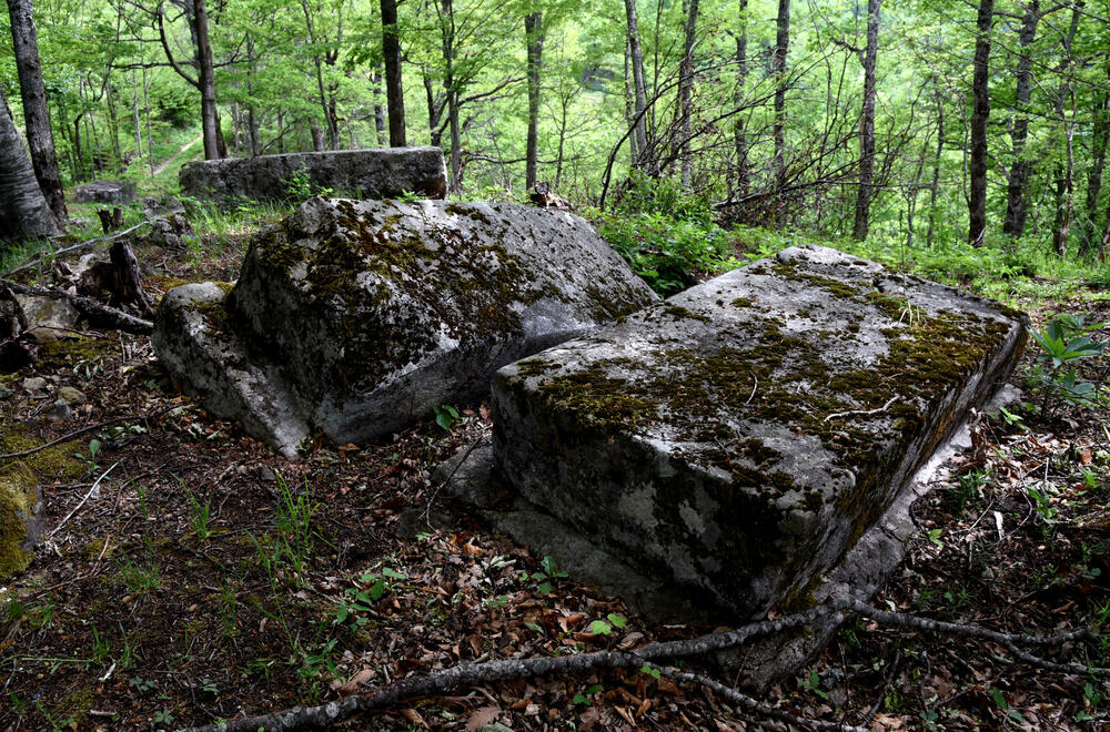 Detalj iz Soko grada