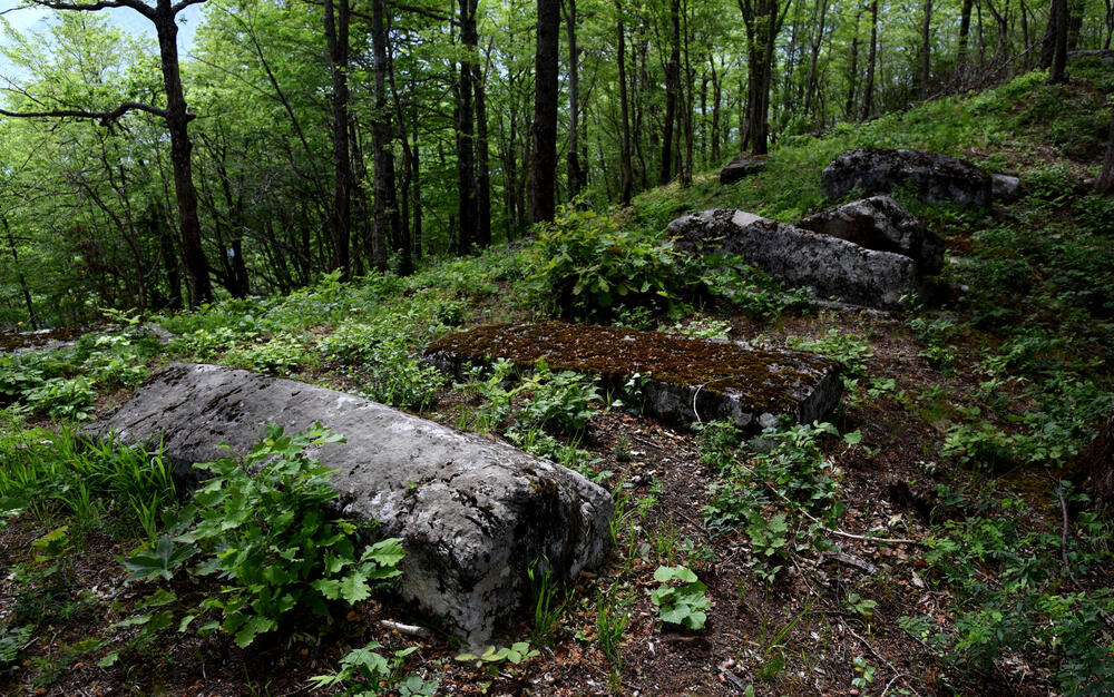 Detalj iz Soko grada