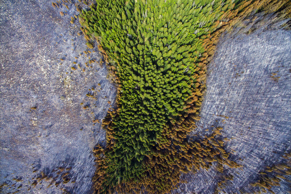 Vatra gutala sve pred sobom, Foto: Armin Ličina