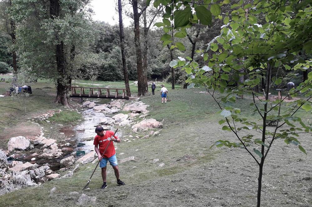 Sa akcije, Foto: DMEN