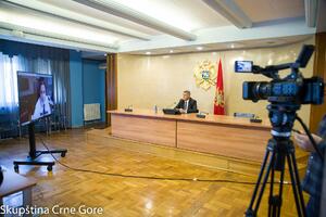 Brajović: Suočeni smo sa grubom političkom destrukcijom usmjerenom...