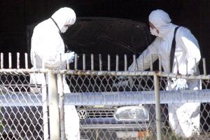 HRA: Strani ekspert da preispita istragu ubistva Duška Jovanovića