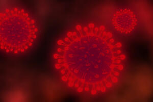 WHO: Nema dokaza da je koronavirus oslabio