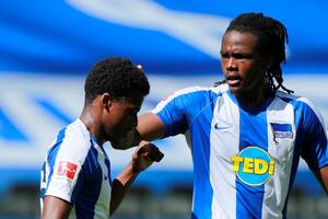 Herta u top formi, Šalke tone