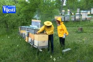 Ćorovići, uz pravljenje meda, krenuli i u seoski turizam