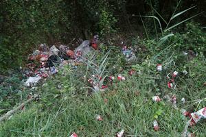 Pogledajte mapu deponija: Od Žabljaka do Herceg Novog