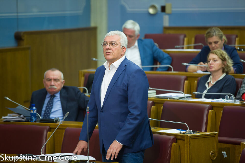 Andrija Mandić, Foto: Skupština.me