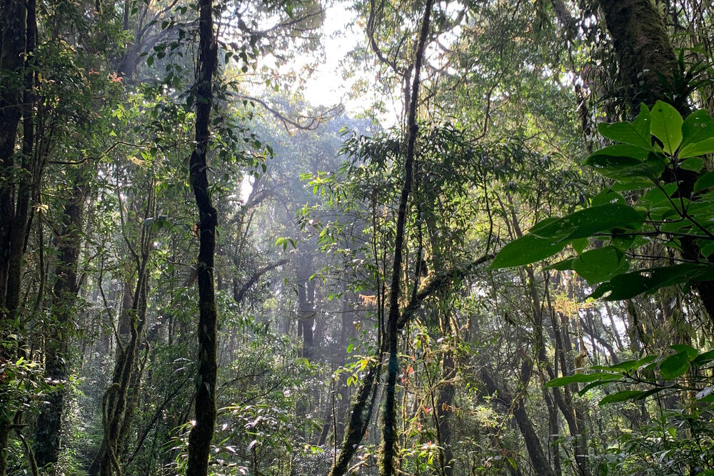 Ilustracija, Foto: Shutterstock.com