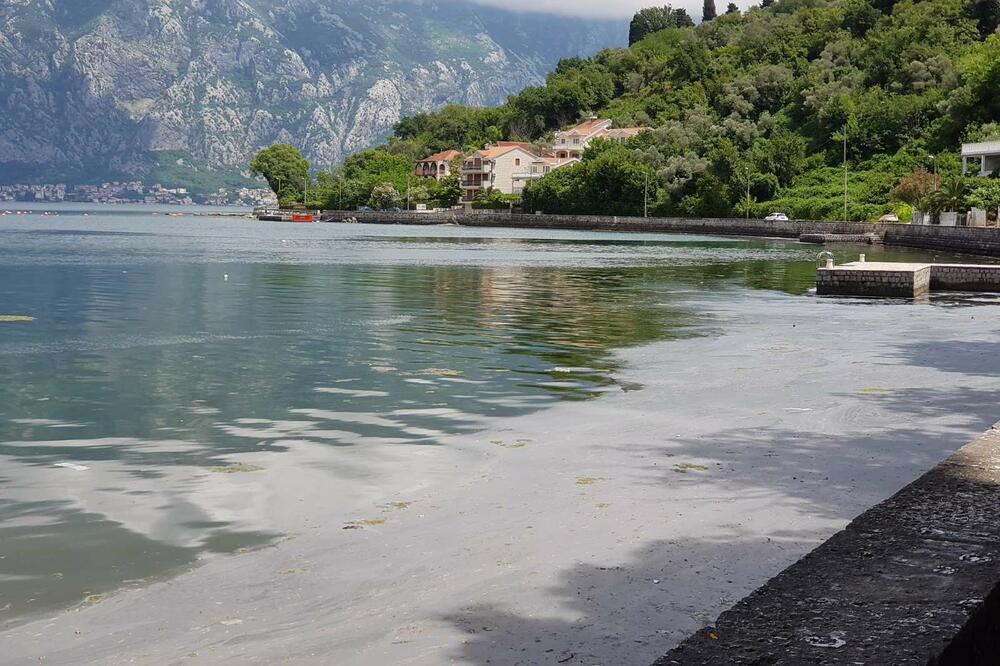 Mrlja u Stolivu, Foto: Čitalac Vijesti