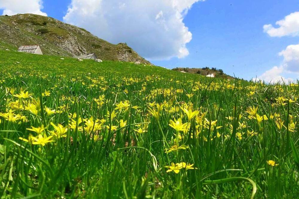 Netaknuta priroda adut Kolašina, Foto: Kolašin 1600