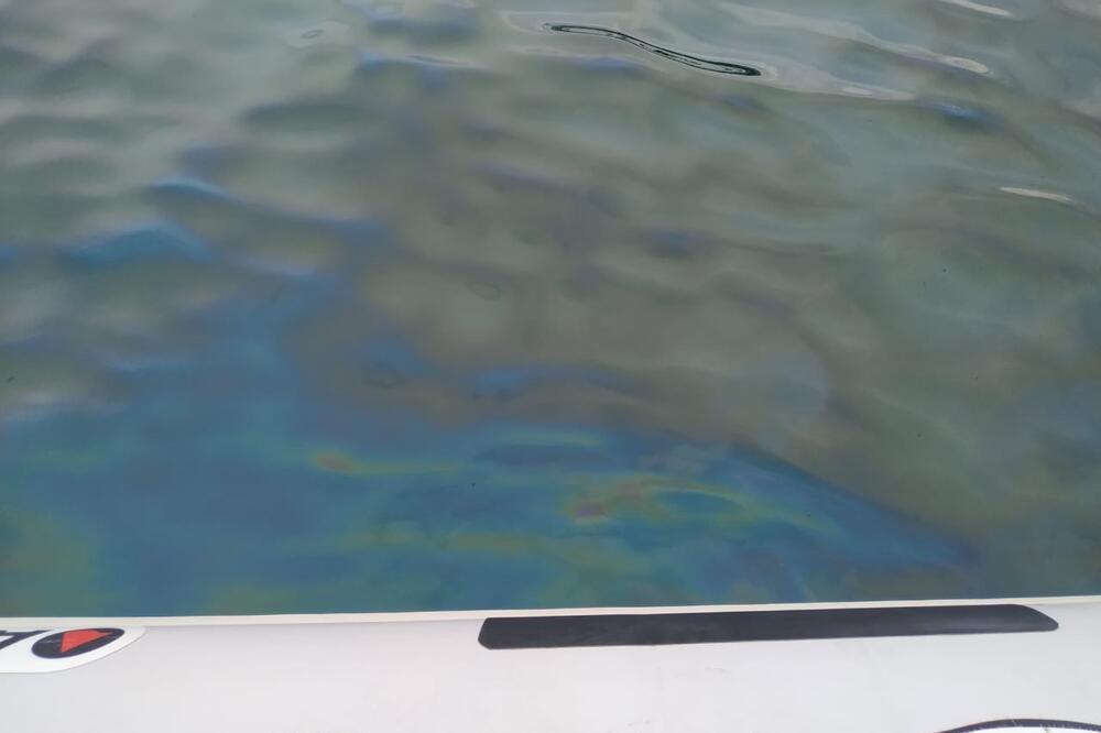Mrlja u tivatskom zalivu, Foto: UPSUL