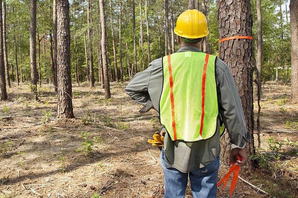 Ilustracija, Foto: Zastita.eu