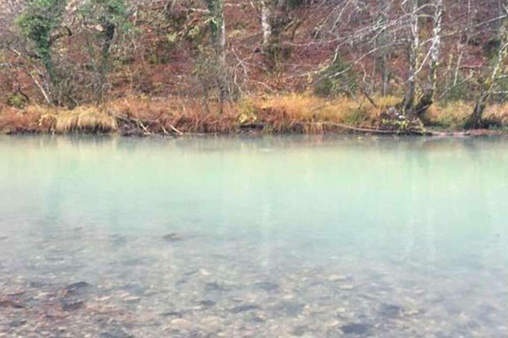 Ćehotina, Foto: Goran Malidžan