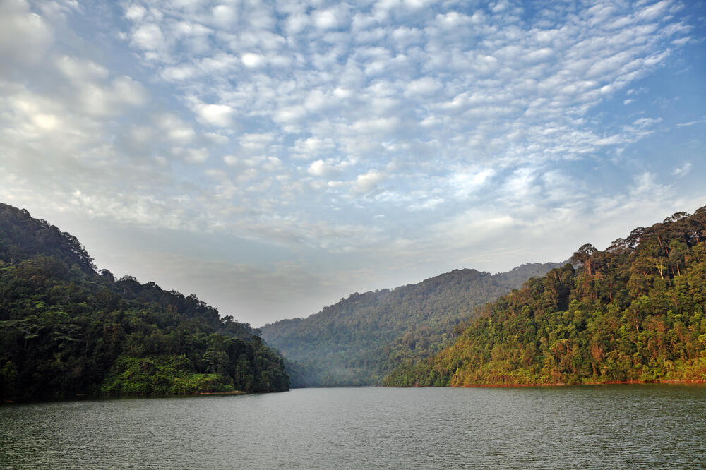 Ilustracija, Foto: Shutterstock