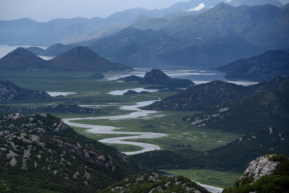 Foto: Savo Prelević