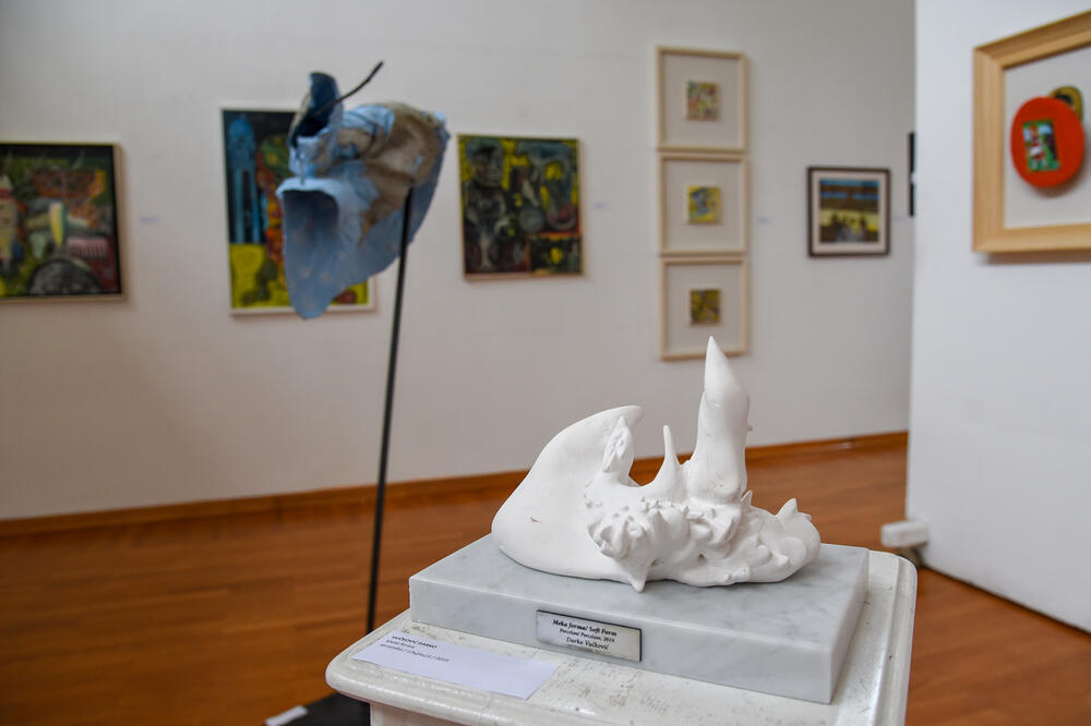 Sa izložbe, Foto: Savo Prelević