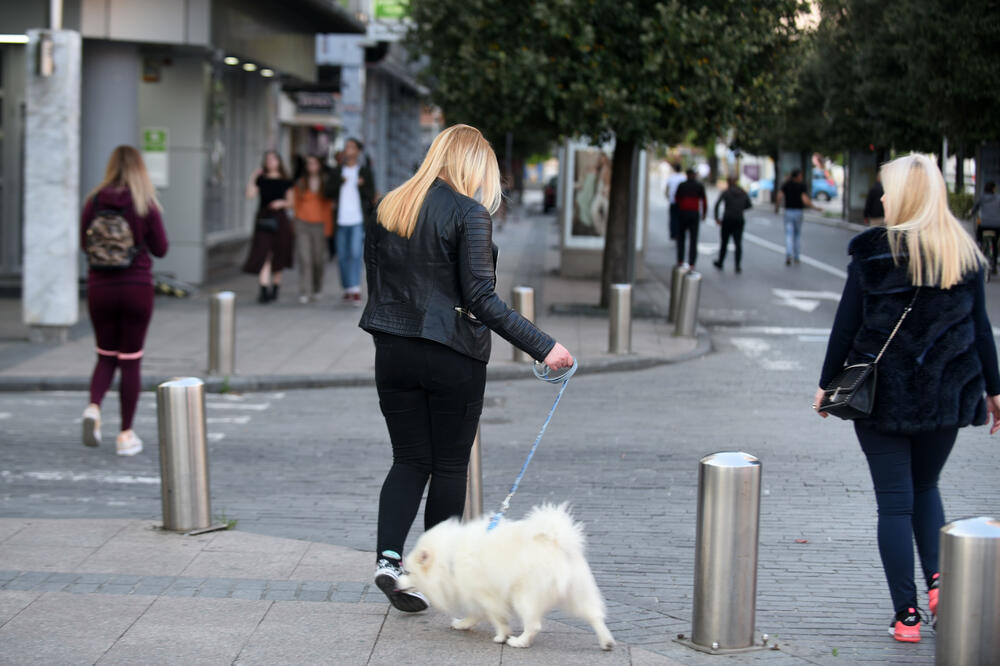 Ilustracija, Foto: Boris Pejović