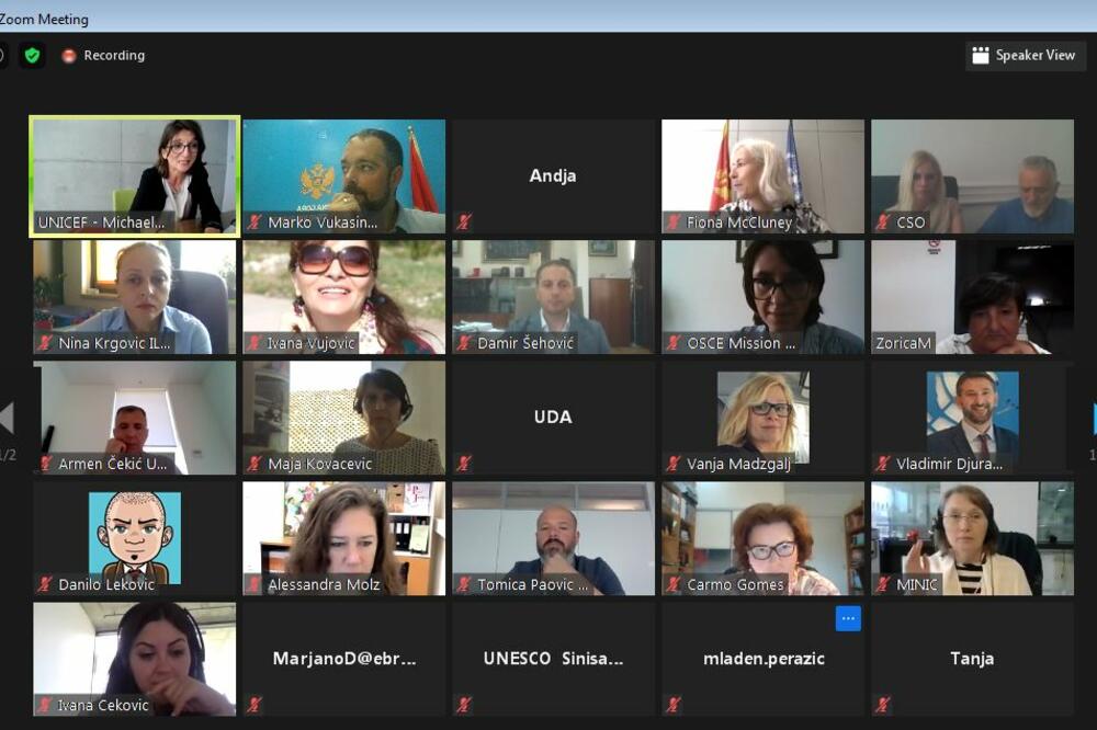 Sa onlajn sastanka, Foto: Ministarstvo prosvjete