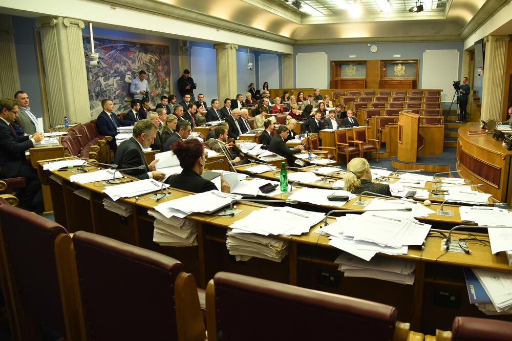 Detalj iz parlamenta, Foto: Savo Prelević