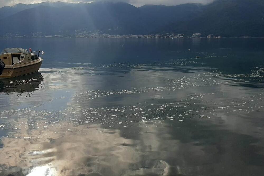 Po moru pluta mrlja sive boje sa pjenom, Foto: Siniša Luković