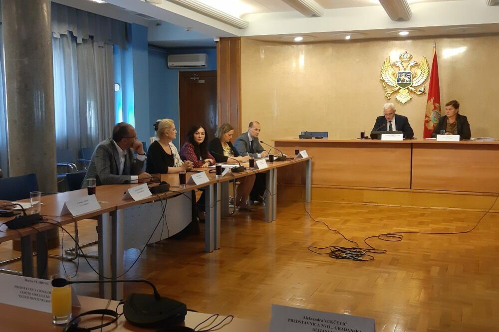 Odbora za ljudska prava, Foto: Damira Kalač