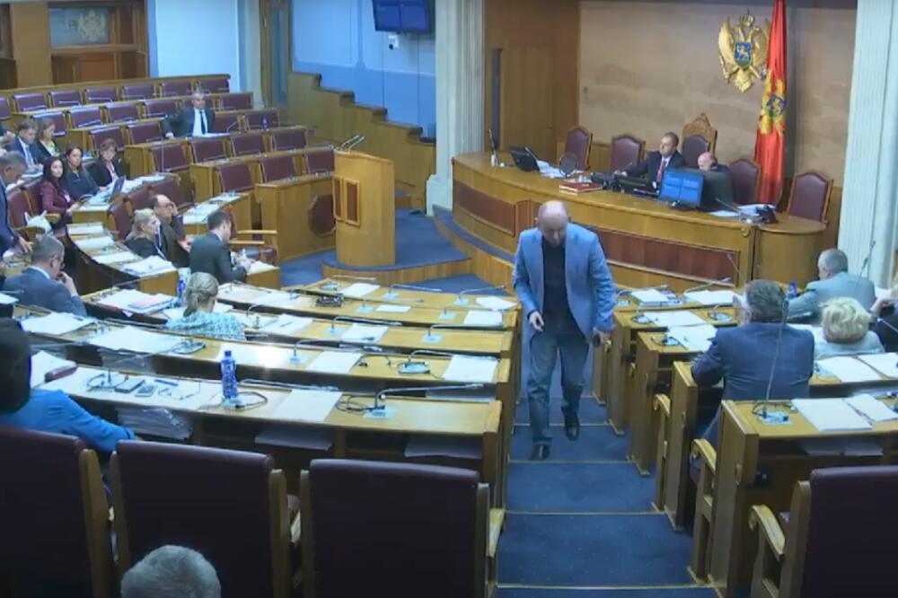 Detalj iz Skupštne, Foto: Skupština Crne Gore