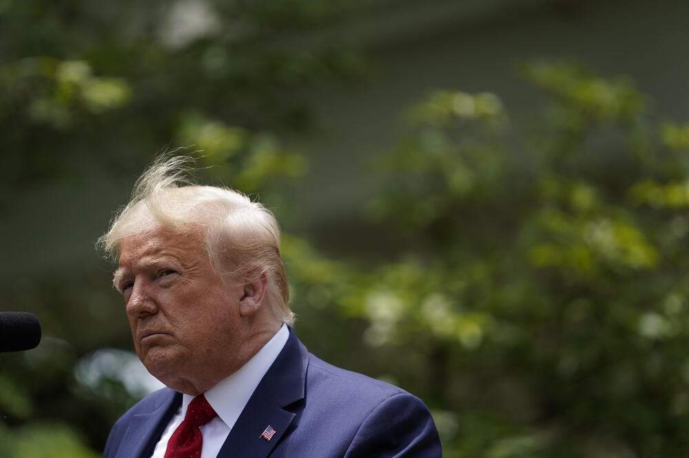 Tramp, Foto: AP Photo