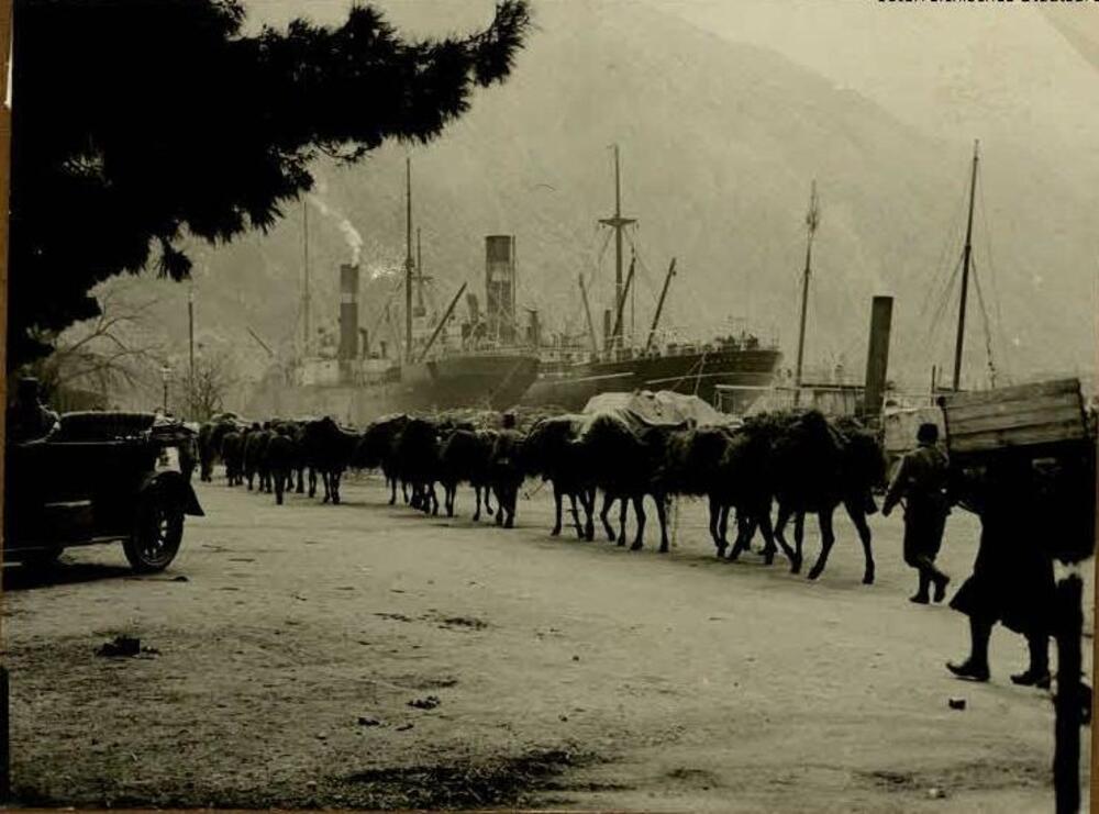  Luka u Kotoru početkom 20.vijeka