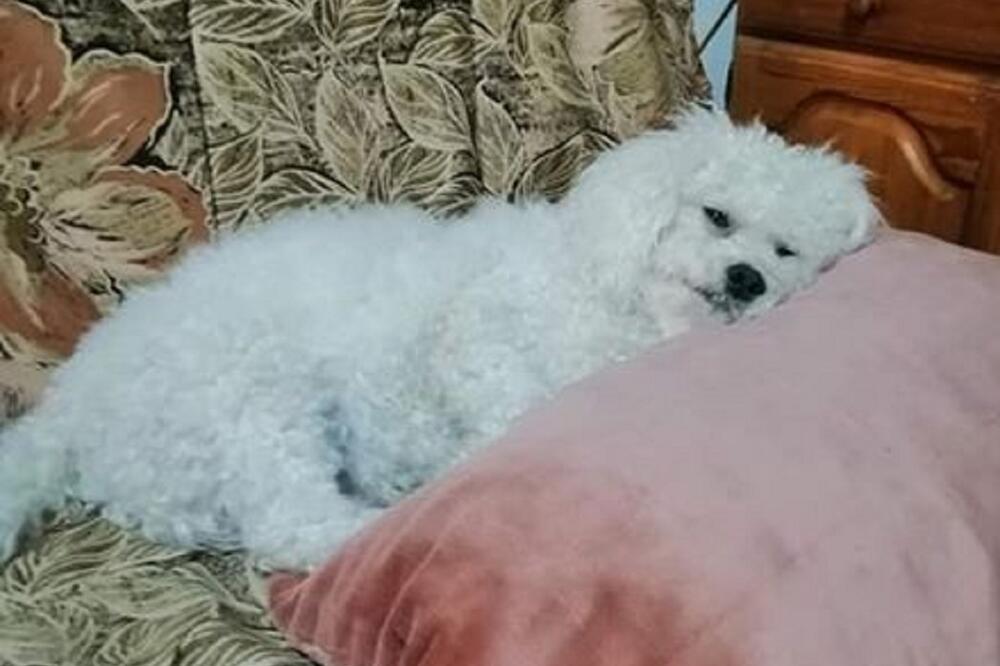 Beni, Foto: Privatna arhiva