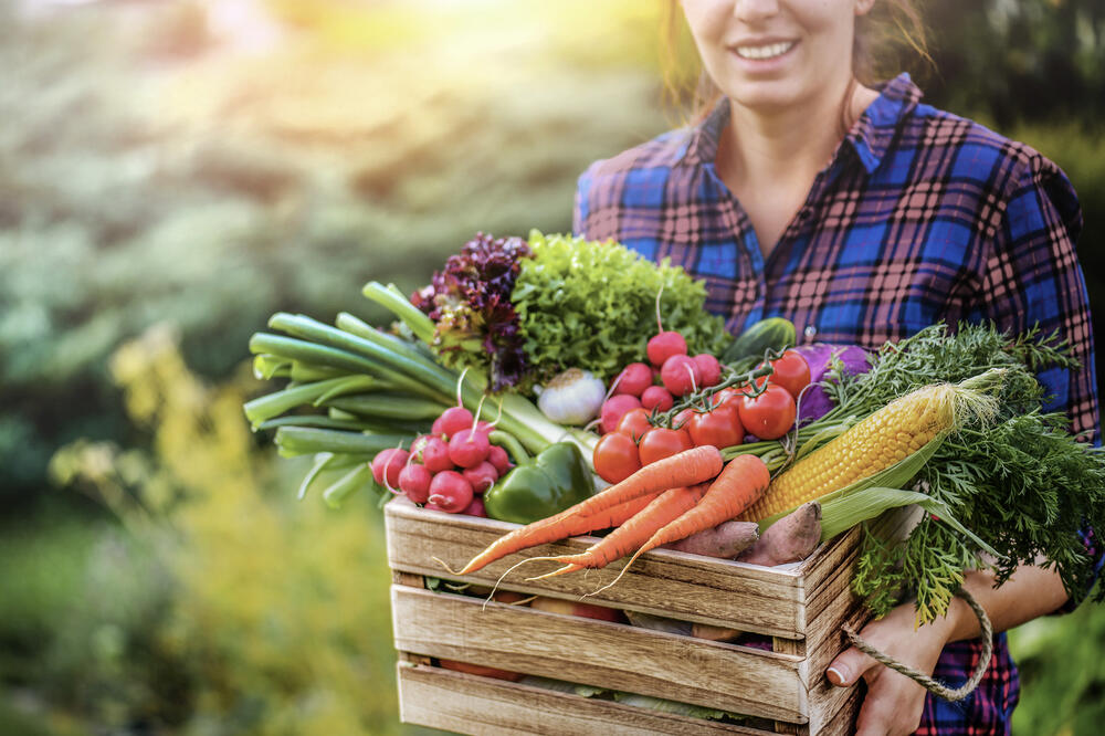 Ilustracija, Foto: NLB