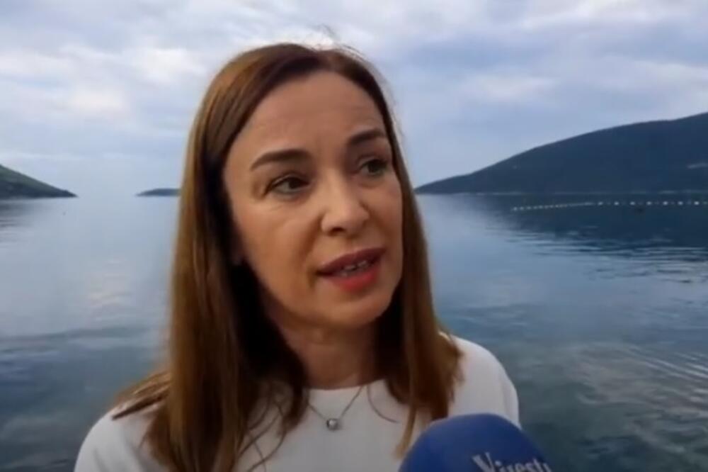 Terzić, Foto: Screenshot/TV Vijesti