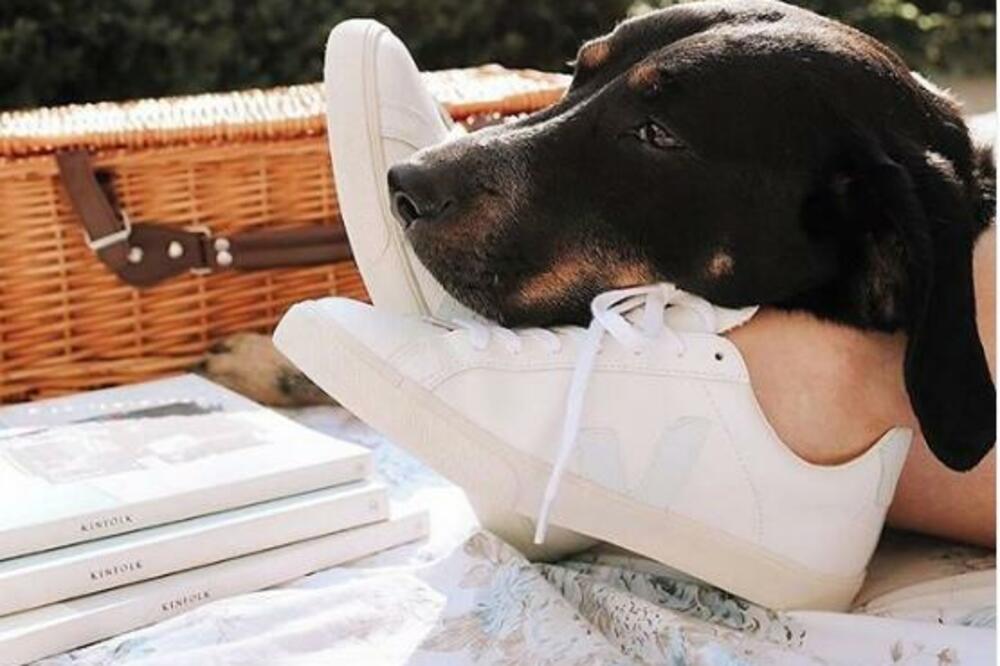 Veja patike, Foto: Instagram